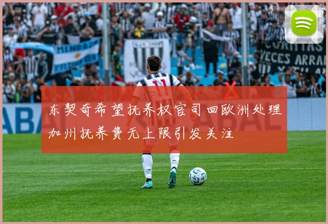 东契奇希望抚养权官司回欧洲处理加州抚养费无上限引发关注