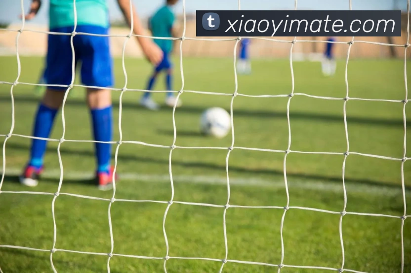 米兰官方网站入口服务体系