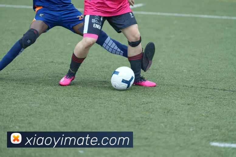 多媒体互动体验